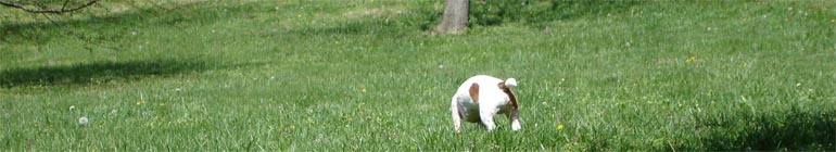 Fuck live gay video chat gril webcam x x x header image 2 Fuck live gay video chat gril webcam x x x header image 2